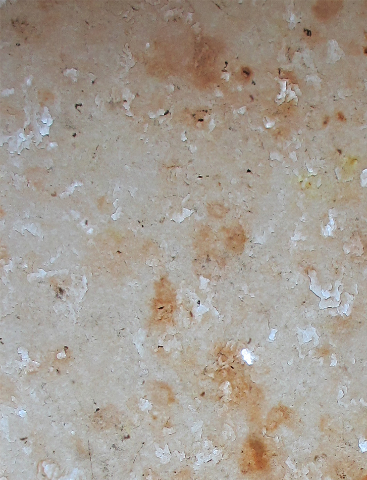 lichtgroene slakkensporen, 30 x 30 cm